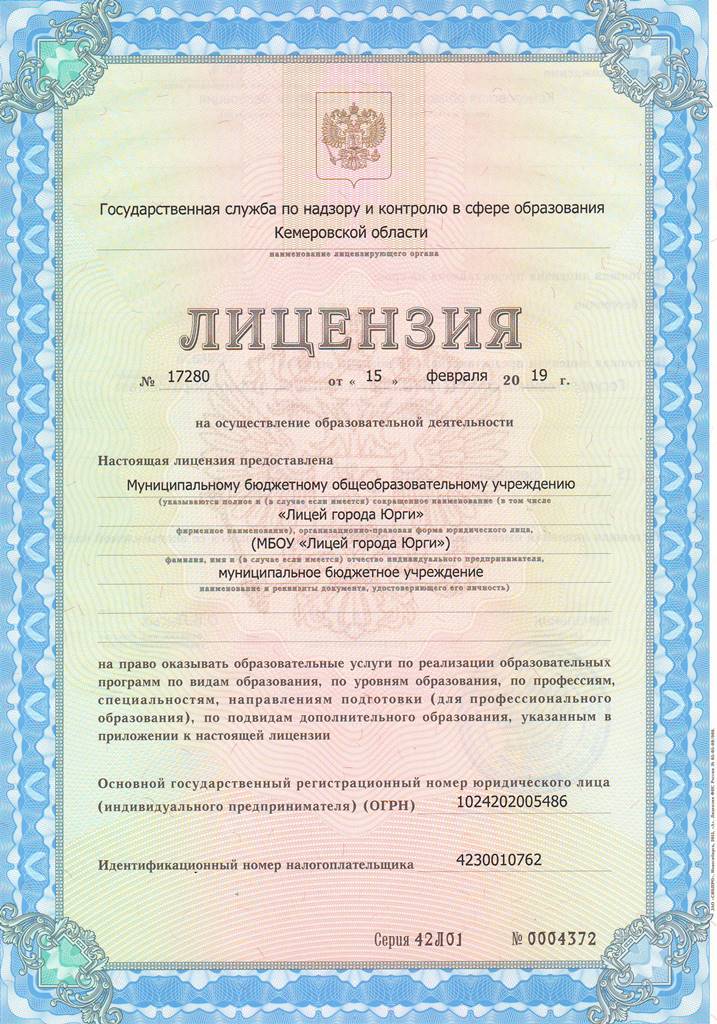 лицензия.jpg